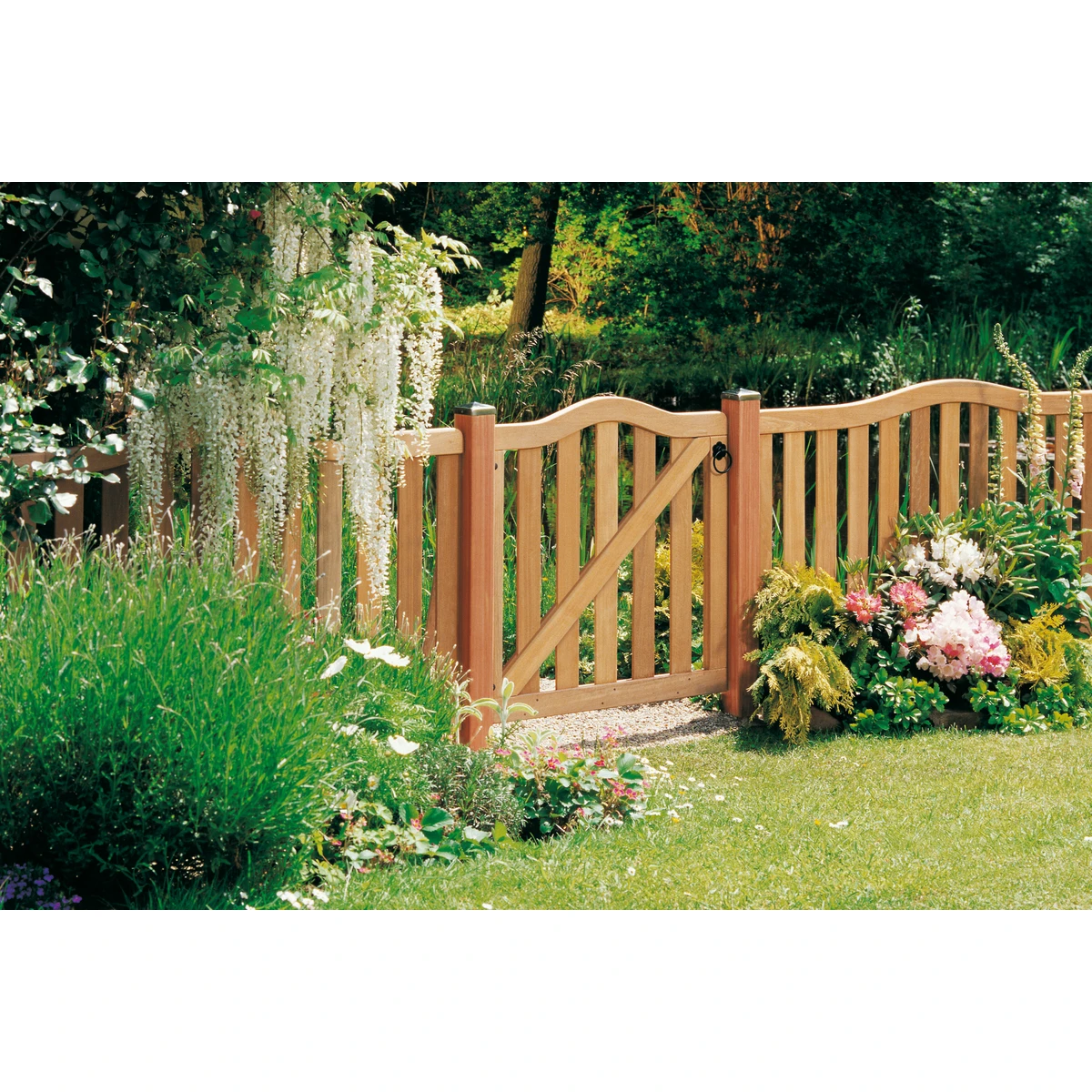 TraumGarten Tor Geölt Holz Natur Krone RAJA 2 TraumGarten Tor Geölt Holz Natur Krone RAJA – Bild 2