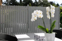 TraumGarten Squadra Doppeltor Auf Maß 19 TraumGarten Squadra Doppeltor Auf Maß -GartenWelt Günstiges Geschäft TraumGarten Serie Squadra lichtgrau 1