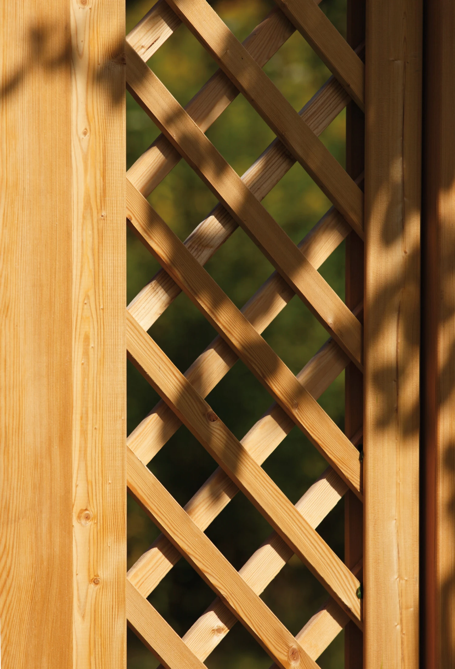 TraumGarten Altai Maro Rankgitter 40x179 Cm 9 TraumGarten Altai Maro Rankgitter 40x179 Cm – Bild 9