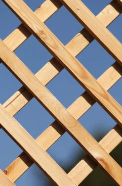 TraumGarten Altai Maro Rankgitter 40x179 Cm 19 TraumGarten Altai Maro Rankgitter 40x179 Cm -GartenWelt Günstiges Geschäft snam maro s 33 1