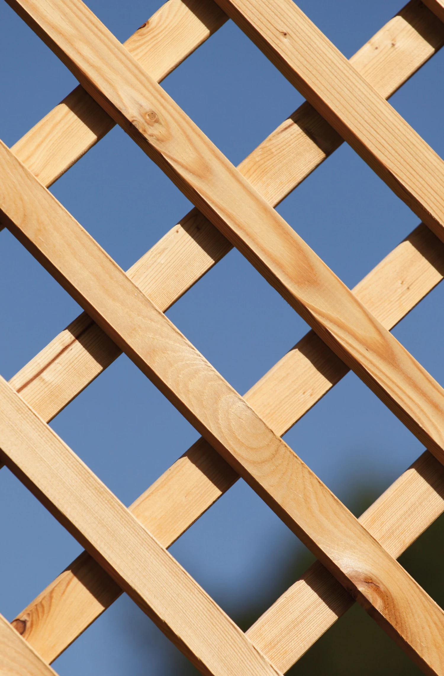 TraumGarten Altai Maro Rankgitter 40x179 Cm 10 TraumGarten Altai Maro Rankgitter 40x179 Cm – Bild 10